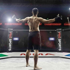 profitable bets on mma fights